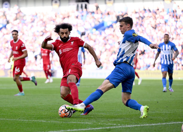 展现出了极 展现出了极